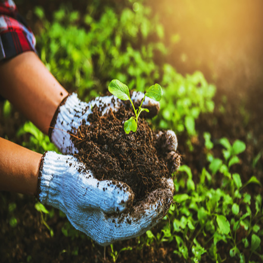 Produits d'agriculture biologique